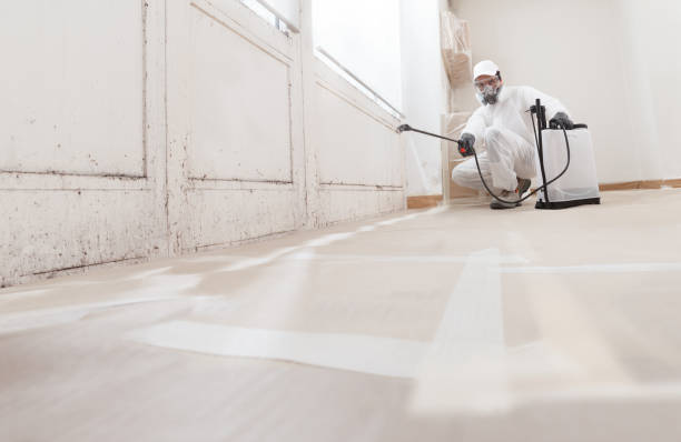 24/7 Emergency Basement Mold Remediation experts in Rowlett, TX