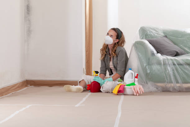 Reliable Basement Mold Remediation contractor in Rowlett, TX by Car Mold Remediation